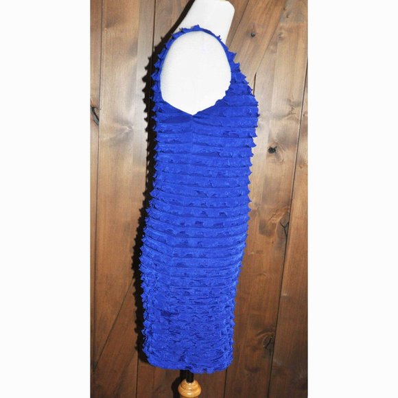 Forever 21 Royal Blue Multiple Rows of Ruffles Sleeveless Silk Dress - Picture 5 of 5